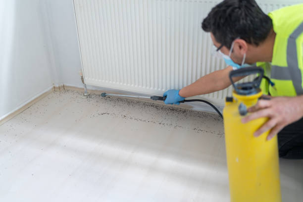 Reliable Lake Los Angeles, CA Pest Control Solutions