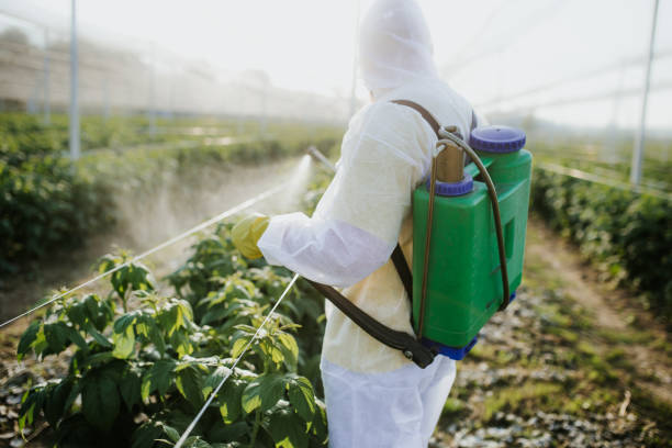 Best Pest Prevention Services  in Lake Los Angeles, CA